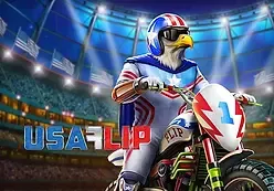 USA Flip